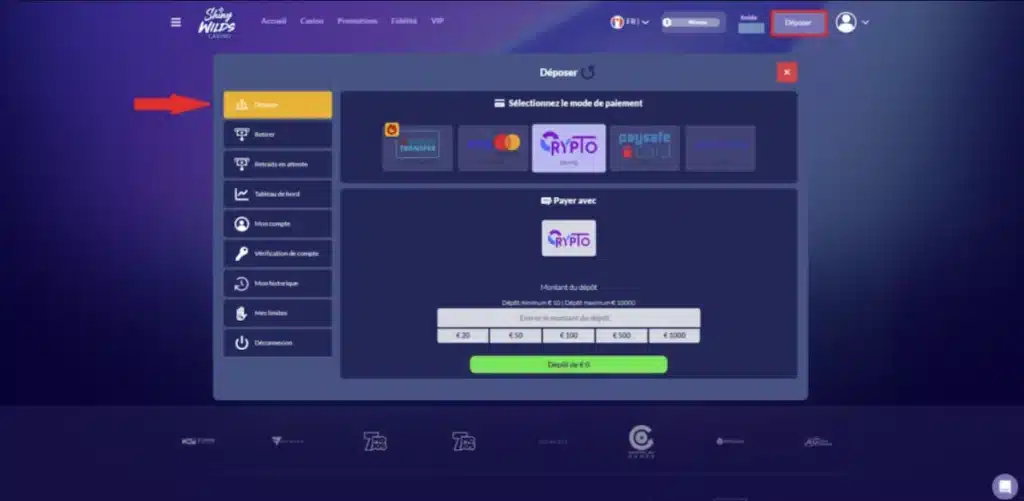 Moyen de paiment casino en ligne Shiny Wilds